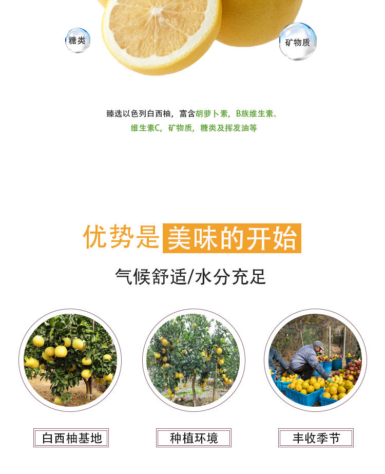 冷凍濃縮白西柚汁詳情頁(yè)_04
