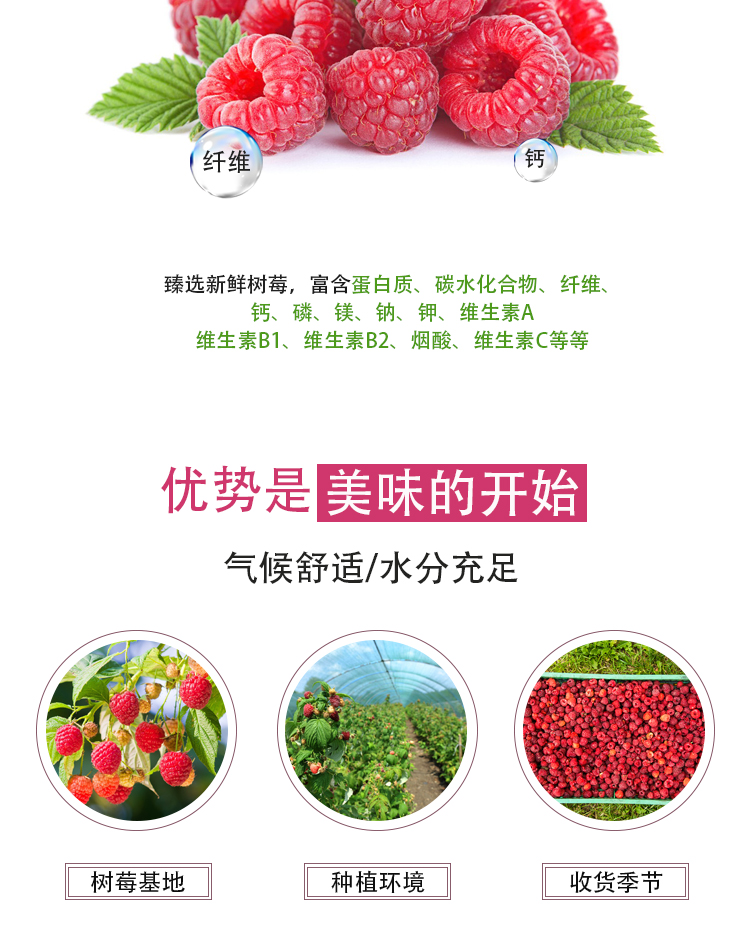 濃縮樹(shù)莓汁詳情頁(yè)_04