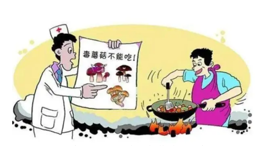 QQ截圖20230904165921