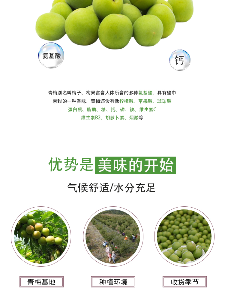 濃縮青梅汁詳情頁(yè)_04