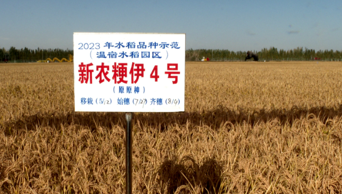 QQ截圖20231020110451