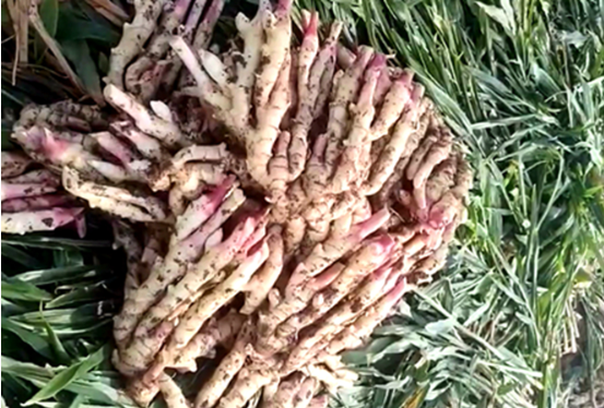 QQ截圖20231020110734