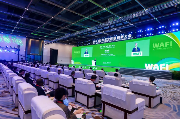 QQ截圖20231103134549