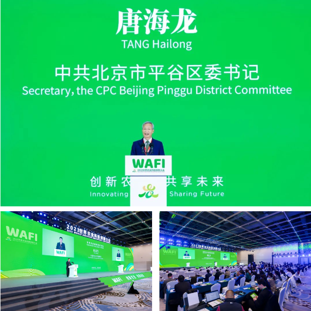 QQ截圖20231103134858