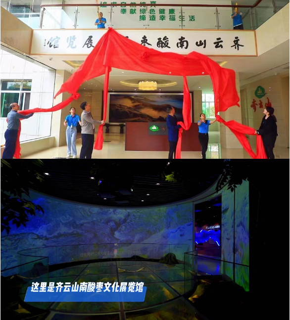 QQ截圖20240119153855