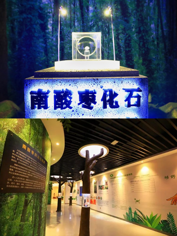 QQ截圖20240119153909