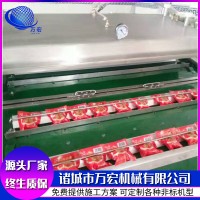 粽子真空封口設備 連續(xù)滾動式食品真空包裝機