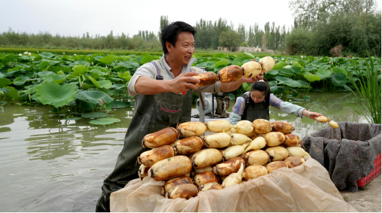 QQ截圖20240805095838