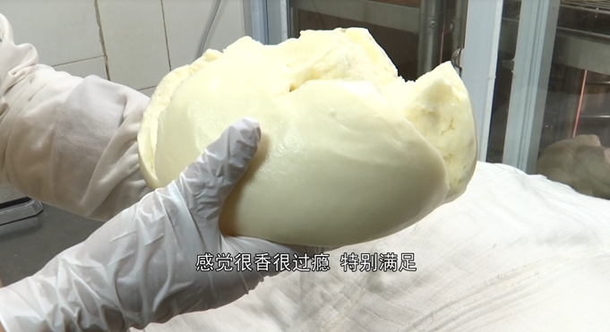 QQ截圖20241216105942