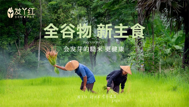 全國體重管理三年行動(dòng)，發(fā)丫紅全谷物讓健康主食“鮮活”起來
