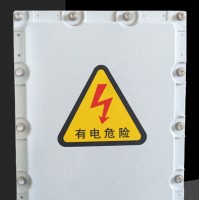 電源儀表照明動(dòng)力箱 防爆配電箱防爆控制箱