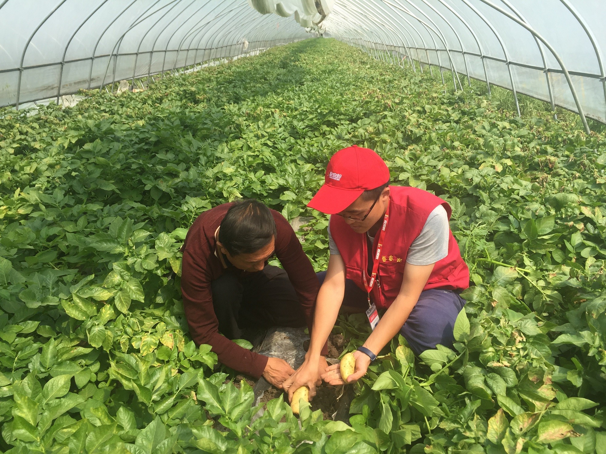 1761535115116914.jpg 1761535115116914.jpg