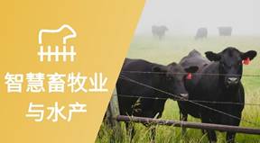 圍欄里站著幾頭牛<i></i><i></i>
<i></i><i></i>
AI 生成的內(nèi)容可能不正確。