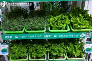 街道上有店鋪的標(biāo)志綠色蔬菜<i></i><i></i>
<i></i><i></i>
AI 生成的內(nèi)容可能不正確。